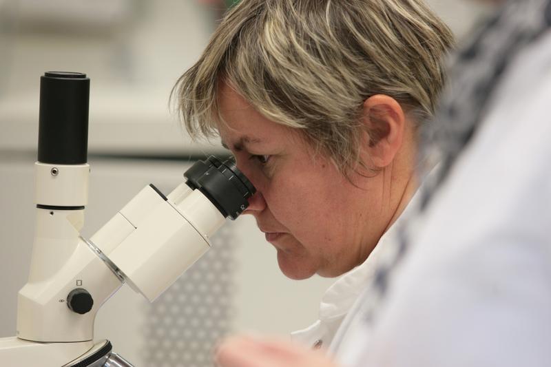 Dr. Barbara Hansen aus dem Studiengang Biotechnologie der Hochschule Lausitz leitet am 19. Januar die science academy an der Hochschule Lausitz mit Schülerinnen und Schülern der zehnten bis zwölften Klassen zum Thema „Macht Alkohol mich wirklich kaputt?“. 