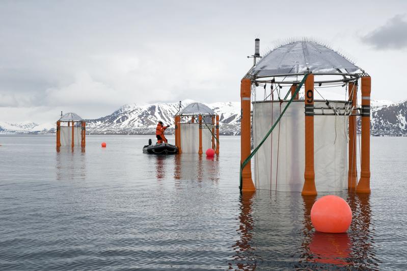 Für das Langzeit-Experiment zur Ozeanversauerung werden zehn KOSMOS Mesokosmen im schwedischen Gullmarfjord verankert.
