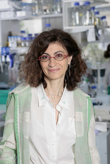 Geneviève Almouzni