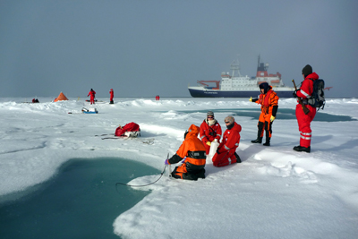 Mehrere Gruppen knöpfen sich den Lebensraum Meereis bei jeder Eisstation vor: Wasserproben aus den Schmelztümpeln, das Eis selber sowie das Wasser darunter, alles wird nach Pflanzen, Tieren und Mikroorganismen durchsucht. 