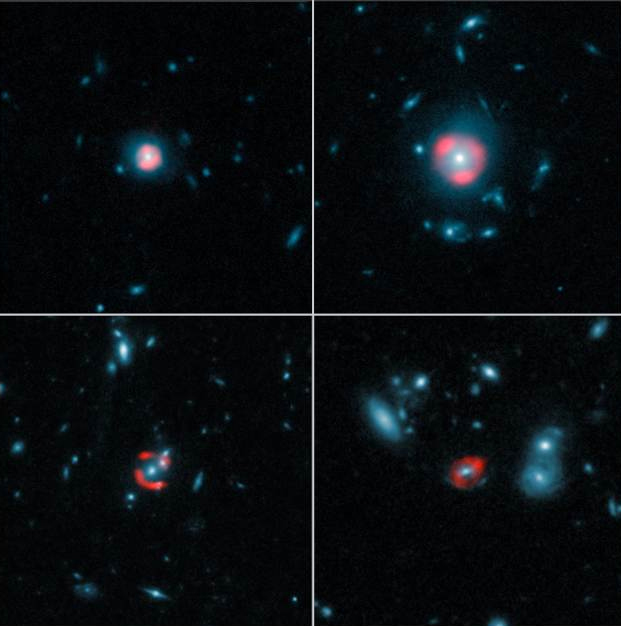 Quartett ferner Galaxien: In diesen Bildern sind ALMA-Daten (rot) mit Bildinformationen des Weltraumteleskops Hubble kombiniert. Sie zeigen die fernen Hintergrundgalaxien, die vom Gravitationslinseneffekt verzerrt werden. Ursache dieser Verzerrungen sind Vordergrundgalaxien (Hubble-Daten, blau). Die Hintergrundgalaxien werden zu Lichtbögen verzogen, welche die Vordergrundgalaxien umgeben.