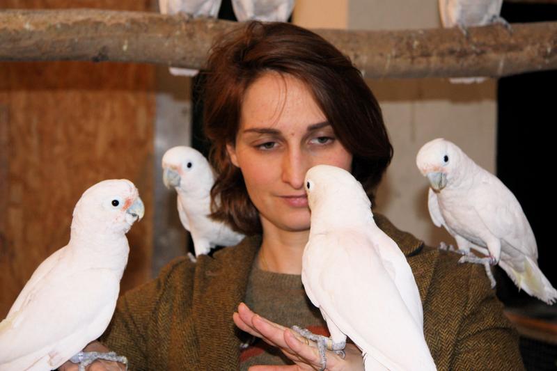 Die Leiterin des Goffini Labors Dr. Alice Auersperg mit ihren Goffini-Kakadus.