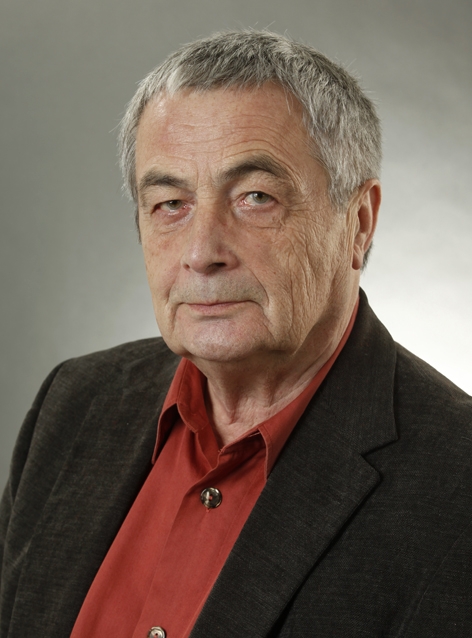 Portrait Prof. Elmar Brähler