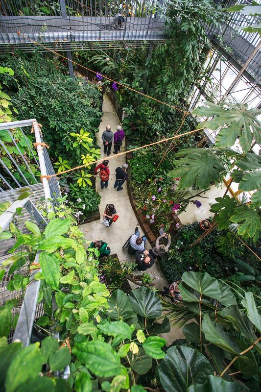 Am 22.03.2013 öffnen nach der Winterpause die Gewächshäuser des Botanischen Gartens der Universität Leipzig wieder für den Besucherverkehr.