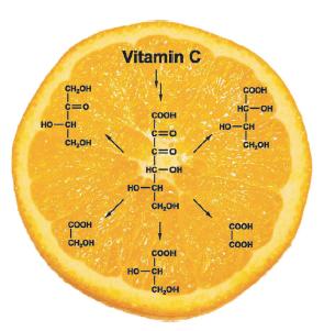 Der oxidative Abbau von Vitamin C ist bisher nicht wirklich verstanden. An der Universität Halle-Wittenberg wurde der durch Amine katalysierten Abbau nun umfassend in einem Modellsystem untersucht. (c) Wiley-VCH