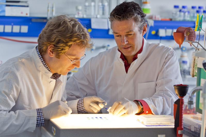 Juniorprofessor Dr. Falk Büttner und Dr. Hans Bakker bei der Präparation von Proben für die anschließende Massenspektrometrie.