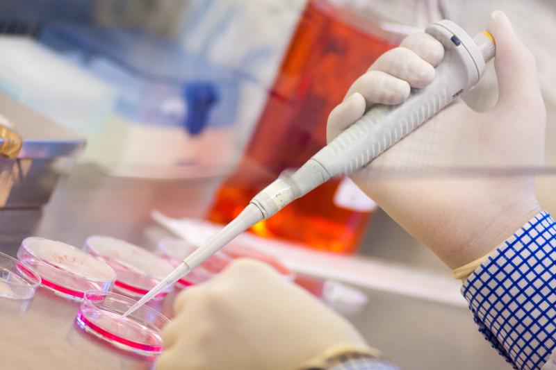 Forschung fördern ist eines der Ziele der Heidelberger Stiftung Chirurgie. Auch Projekte in Krankenversorgung und Lehre werden unterstützt. 