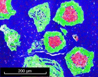 Aus preiswerten Mineralien wird hochwertiger Flussspat (grün): Das neue Verfahren ermöglicht die Herstellung von Sekundärrohstoffen aus fluorierten organischen Reststoffen. - Das Bild wurde im Rasterelektronenmikroskop aufgenommen. Durch einen speziellen Detektor können unterschiedliche Elemente gemessen und farblich unterschiedlich dargestellt werden.