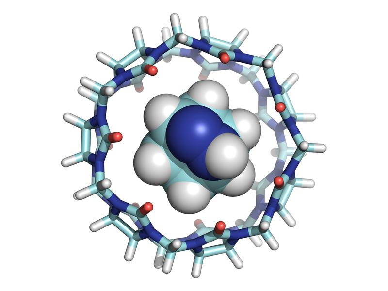 Molekül in einem Hohlraum