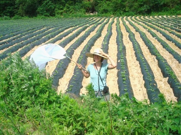Emily Martin, Doktorandin im DFG-Graduiertenkolleg TERRECO an der Universität Bayreuth, bei Forschungsarbeiten in Südkorea.