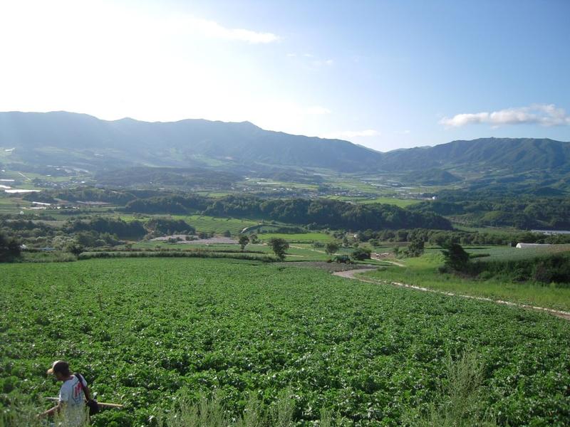 Blick auf die von Agrarwirtschaft geprägte Region Haean in Südkorea.
