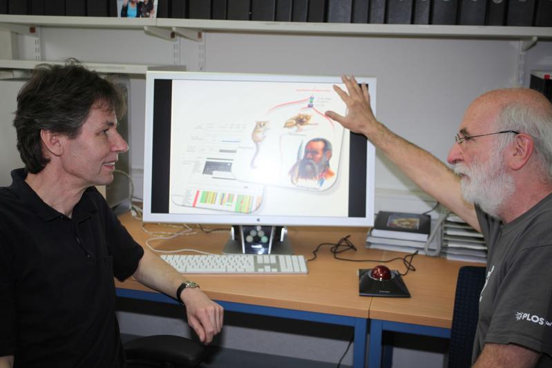 Dr. Jürgen Schmitz (l.) and Prof. Jürgen Brosius from the Institute of Experimental Pathology of the University of Münster discussing the topic. The primate relationship of Tarsius is shown on the screen.