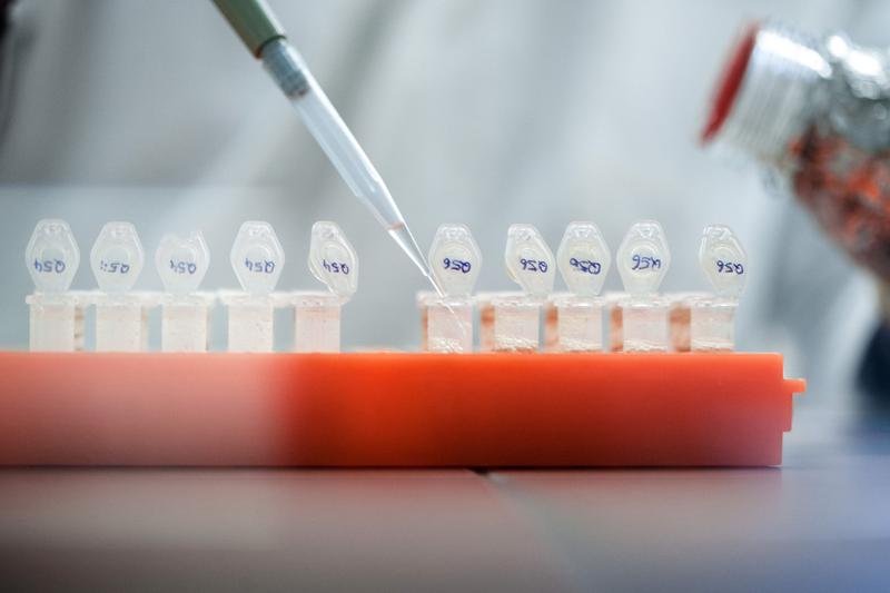Thünen-Institut und Floragenex kooperieren auf dem Gebiet der genetischen Identifizierung von tropischen Baumarten 