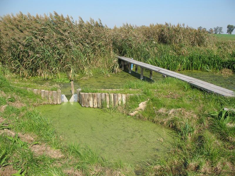 Ablauf eines Dränteiches (Müncheberg/Brandenburg)