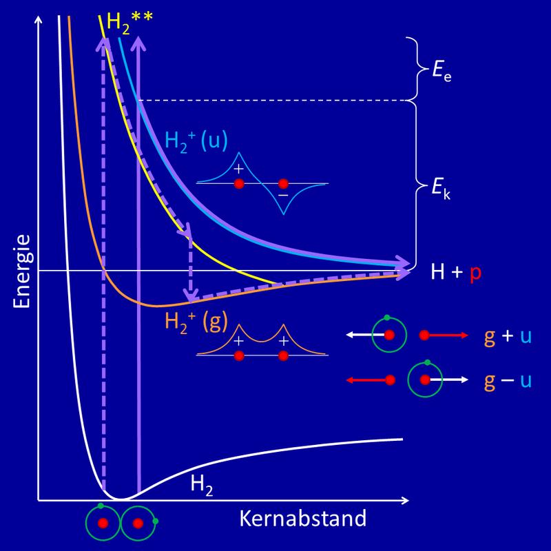 Abb. 1: Energiediagramm zur Photoionisation des Wasserstoff-Moleküls H2 mit Dissoziation des Molekülions H2+ in ein H-Atom und ein Proton (rot). Violette Pfeile – durchgezogen: direkte Ionisation; gestrichelt: Autoionisation eines doppelt angeregten Zustands H2**. Die Überlagerung der Zustände gerader (g) und ungerader (u) Symmetrie von H2+ bestimmt (je nach Vorzeichen) die Richtung des Protons.