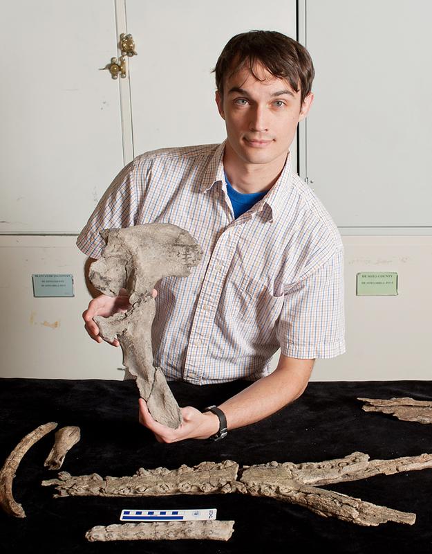 Dr. Alexander K. Hastings, für eineinhalb Jahre Wissenschaftler am Zentralmagazin Naturwissenschaftlicher Sammlungen, bei der Arbeit mit Fossilien aus dem Eozän.