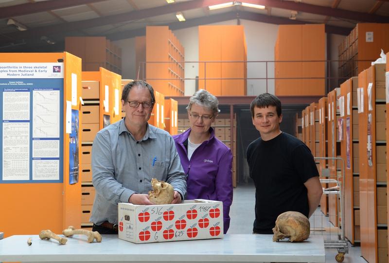 Professor Jesper Boldsen von der Universität Süddänemark (Mitte) erläutert Professorin Almut Nebel und Dr. Ben Krause-Kyora von der Universität Kiel die Knochenveränderungen der an Lepra erkrankten Frau aus St. Jørgensen.