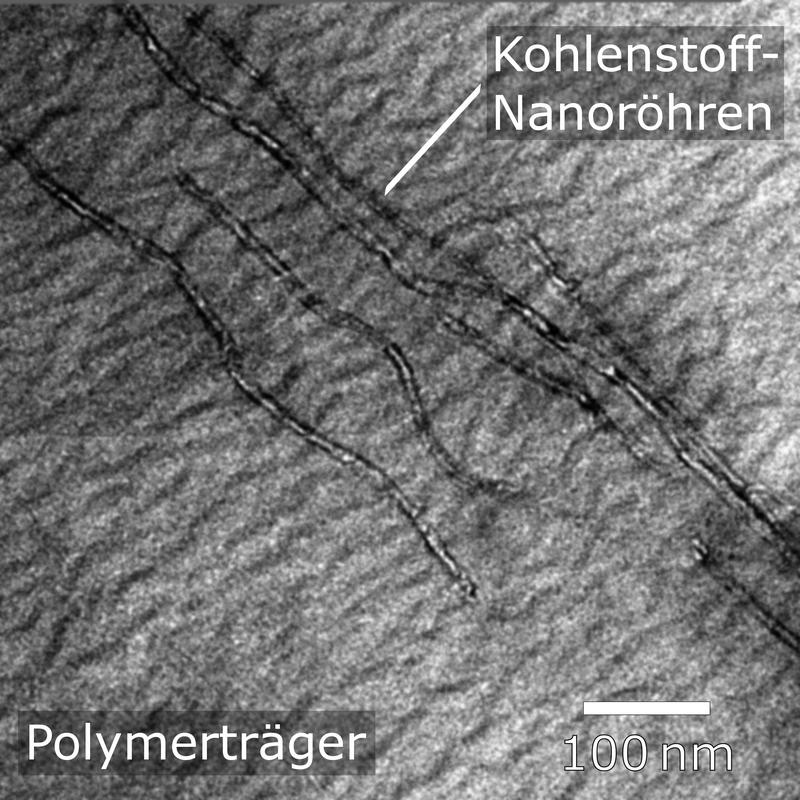 Im Polymerträger ausgerichtete Kohlenstoff-Nanoröhren mit dem Transmissionselektronenmikroskop abgebildet.