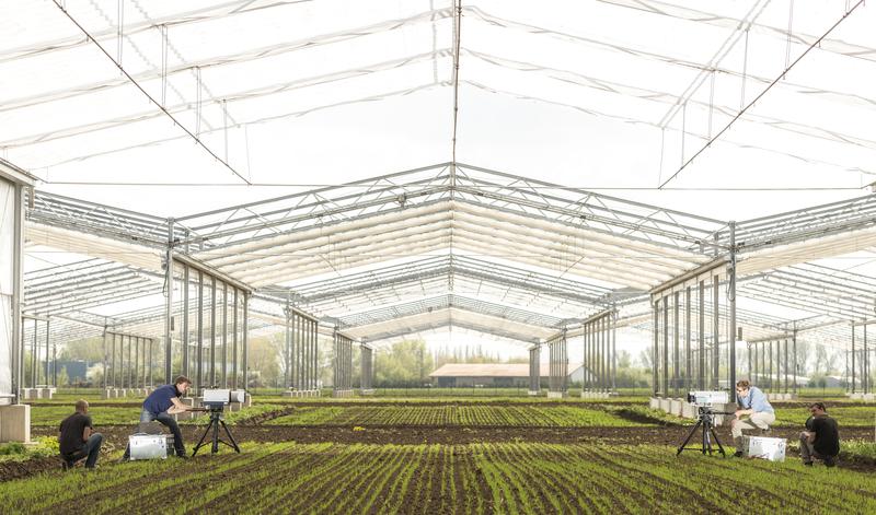 Die Global Change Experimental Facility (GCEF) besteht aus 25 überdachbaren und weiteren 25 nicht überdachbaren Experimentalflächen, in denen die künftigen Veränderungen in verschiedenen Landnutzungen simuliert werden. 
