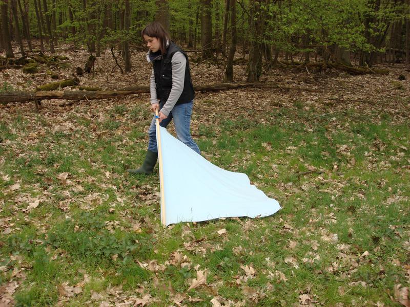 Wissenschaftlerin auf Zeckenjagd