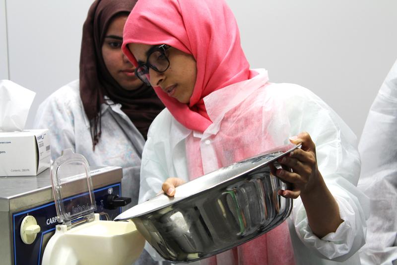Während des Summer Labs produzieren die internationalen Studierenden unter anderem ihr eigenes Speiseeis. 