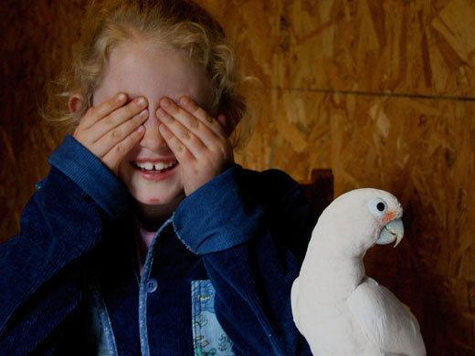 Woher wissen wir, dass etwas noch da ist, obwohl wir es gerade nicht sehen können? Volle Objekt-Permanenz, eingeschlossen unsichtbarer Verschiebungen durch Raum und Zeit, braucht bei Kindern Jahre um sich zu entwickeln.