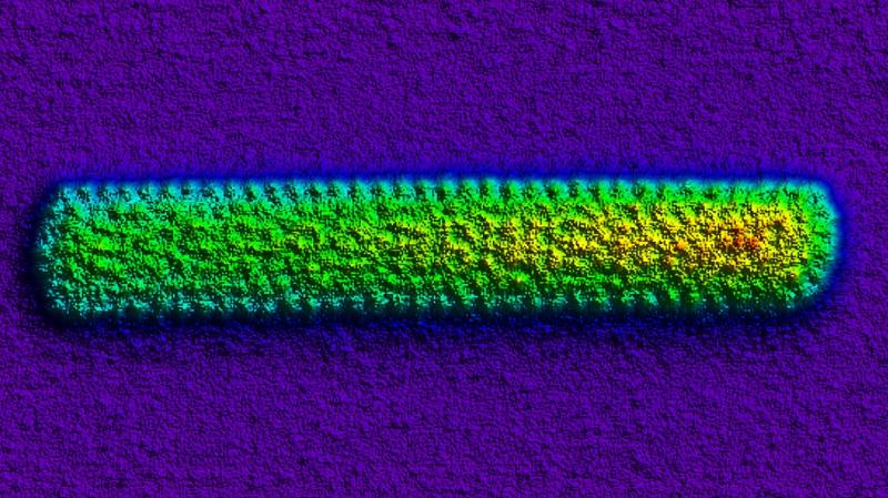 Abb. 1: Regelmäßige Anordnung von etwa zehntausend Ionen (Coulomb-Kristall) in der CryPTEx-Falle. Die einzelnen Ionen werden durch Laserfluoreszenz sichtbar.