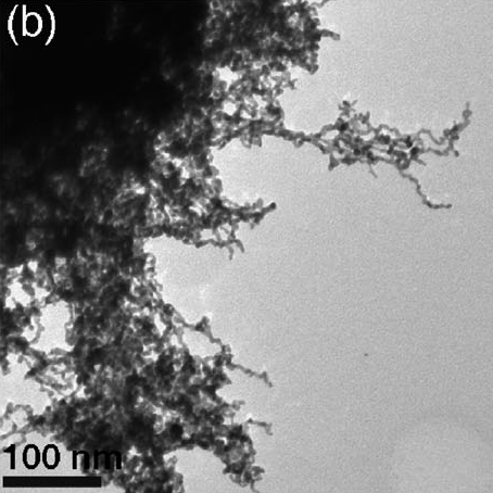 Elektronenmikroskopische Aufnahme des Platin-Palladium-Aerogels (bei einem Verhältnis von 50 Prozent Platin und 50 Prozent Palladium)