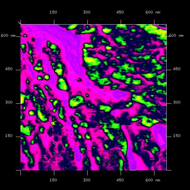 Platinkatalysator (grün) in der Polymermembran einer Brennstoffzelle 