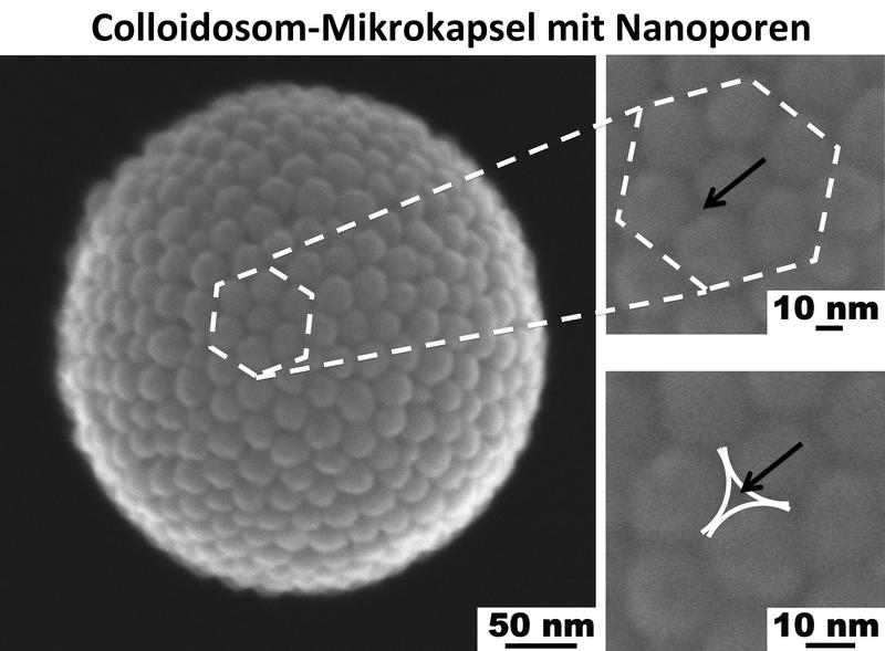 Hochauflösende Elektronenmikroskop-Aufnahme einer Mikrokapsel.