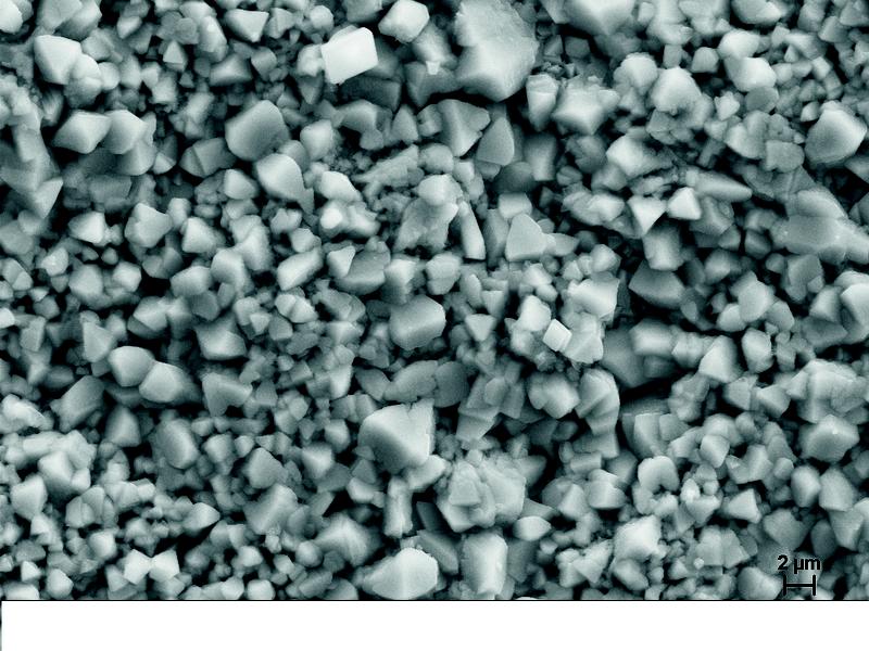 Oberflächenoxide eines Stahls nach 2000 Stunden in 565° Celsius heißer Salzschmelze. Einerseits kann die Oxidschicht eine Schutzfunktion übernehmen, andererseits können sich zwischen den Kristallen unter Belastung leicht Risse bilden, die den Prozess der Spannungsrisskorrosion einleiten. Die Oxidschicht korrekt zu bewerten, ist Aufgabe der Werkstoffforschung.