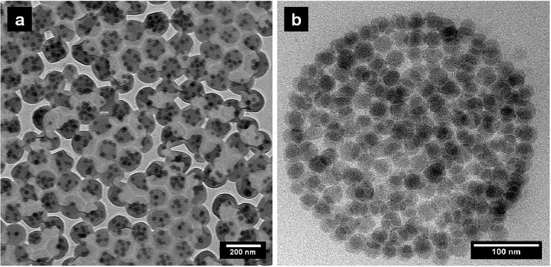 Mit Miniemulsionspolymerisation hergestellte hybride Partikel: a) Kern-Schale- Aufbau mit einheitlicher Größe und gleichmäßigem Füllgrad, b) Schnitt durch  ein hybrides Partikel mit einem Füllgrad von 40 Prozent 