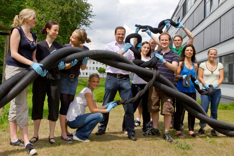 Sunlight can damage DNA: Dr. Winfried Barchet (centre), and his co-workers at the Institute of Clinical Chemistry and Clinical Pharmacology visualize their findings using black tubing to represent the DNA double helix. Nadine Gehrke (on the far left), Christina Mertens (far right) and Thomas Zillinger (fourth from the right) share first authorship on the publication.