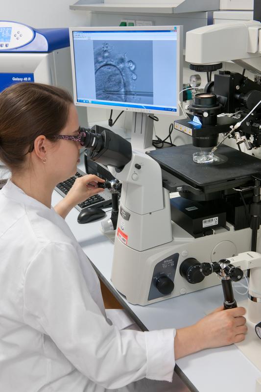 Künstliche Befruchtung unter dem Mikroskop: Bei der Intracytoplasmatischen Spermieninjektion (ICSI) spritzt die Mitarbeiterin ein Spermium direkt in die Eizelle. 