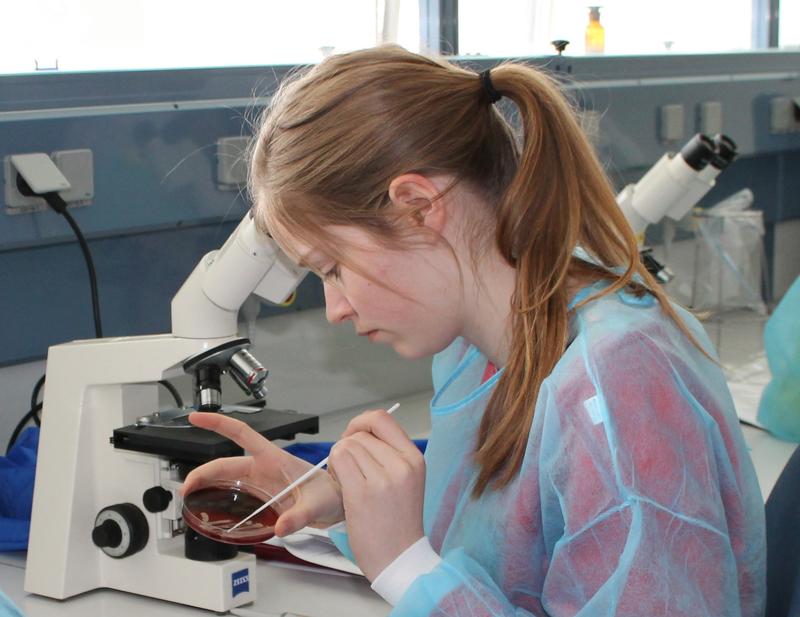 Das Schülerlabor am Uniklinikum bietet in den Herbstferien unter anderem spannende mikrobiologische Experimente.