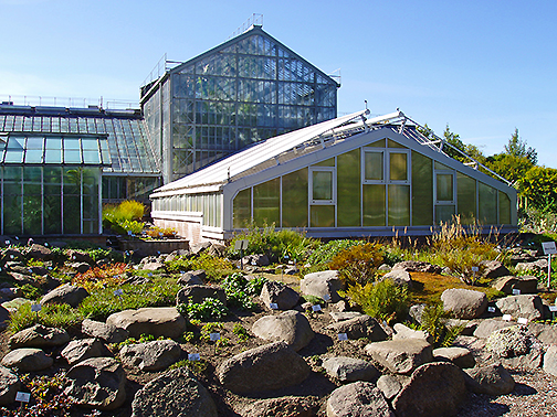Gewächshäuser des Botanischen Gartens der Universität Greifswald heute.