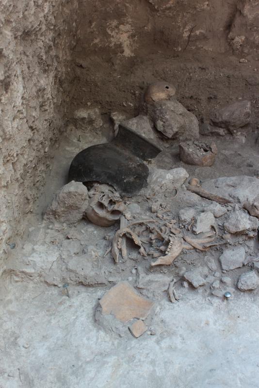 Aufsehen erregender Fund: Wissenschaftler der Universität Bonn entdeckten in einer künstlichen Höhle der früheren Maya-Stadt Uxul in Mexiko die Reste zerstückelter Körper. Auf dem Bild sind mehrere Schädel, Unterkiefer und Rippen zum Zeitpunkt der Ausgrabung zu sehen. 