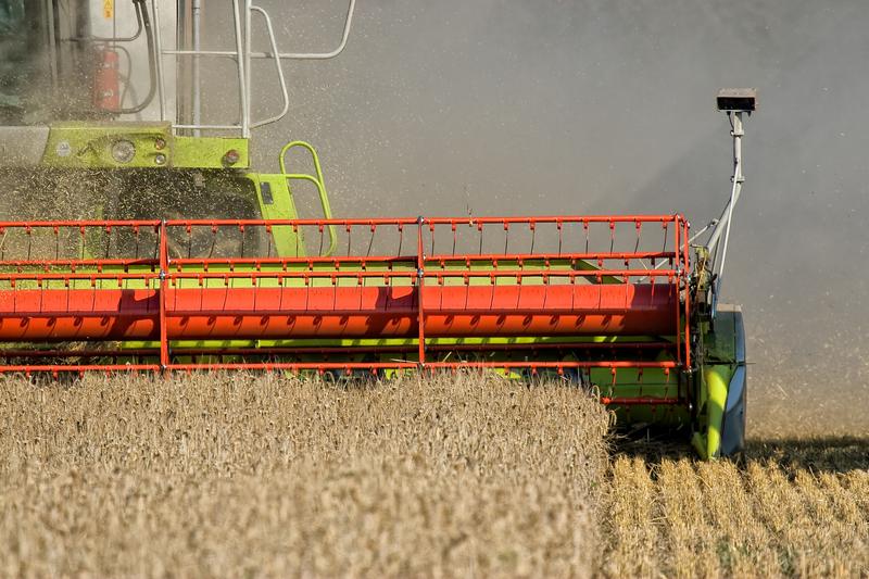 Großbetriebliche Landbewirtschaftung