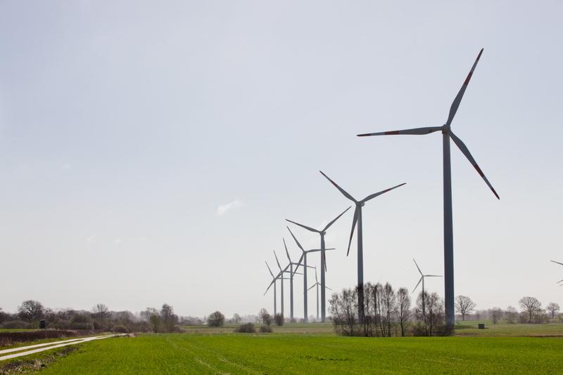 Erneuerbare Energien für eine Nachhaltige Ökonomie