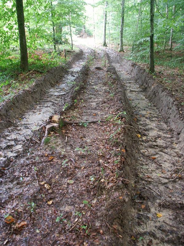 Fahrspur nach Fahrexperiment mit schweren Holzerntemaschinen.