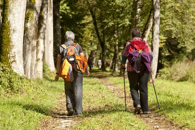 Brustkrebs: Jenseits der Schulmedizin - Was brauchen wir?