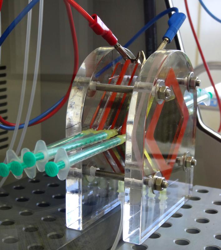 Die Bielefelder Studierenden haben eine mikrobielle Brennstoffzelle konstruiert, mit der sie erfolgreich Elektrizität zum Betrieb von Kleinanwendungen produzieren können.