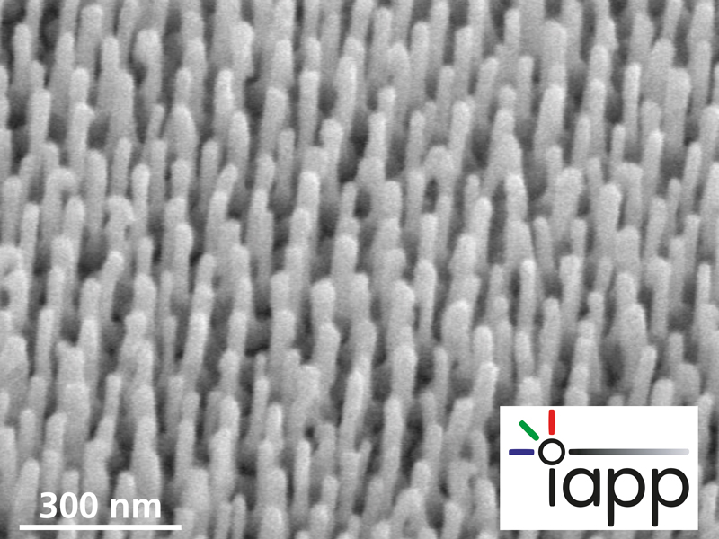Gold-Nanoantennen von wenigen 100 nm Länge und 30 nm Durchmesser