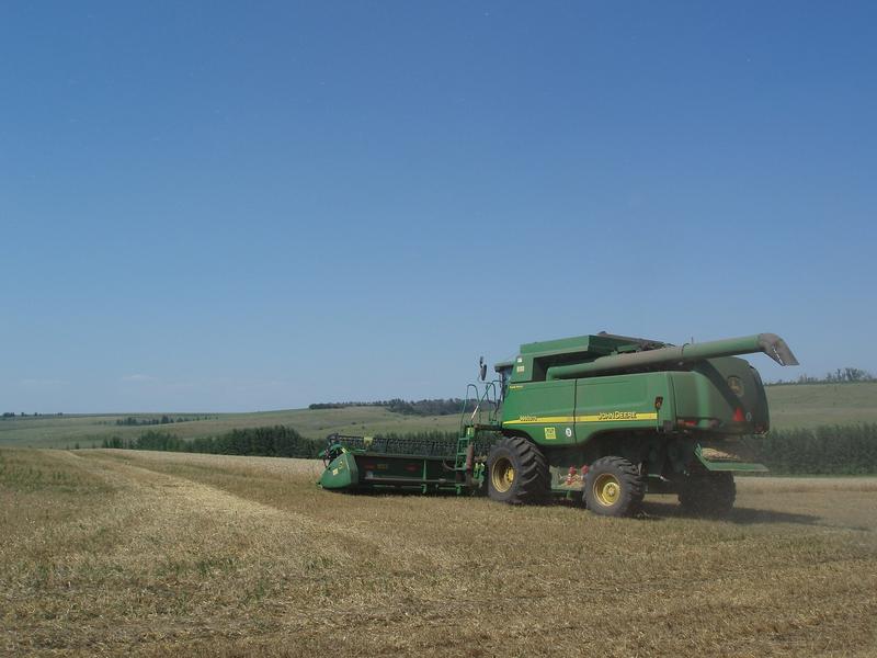 Agrarproduktion in Russland (c) Martin Petrick