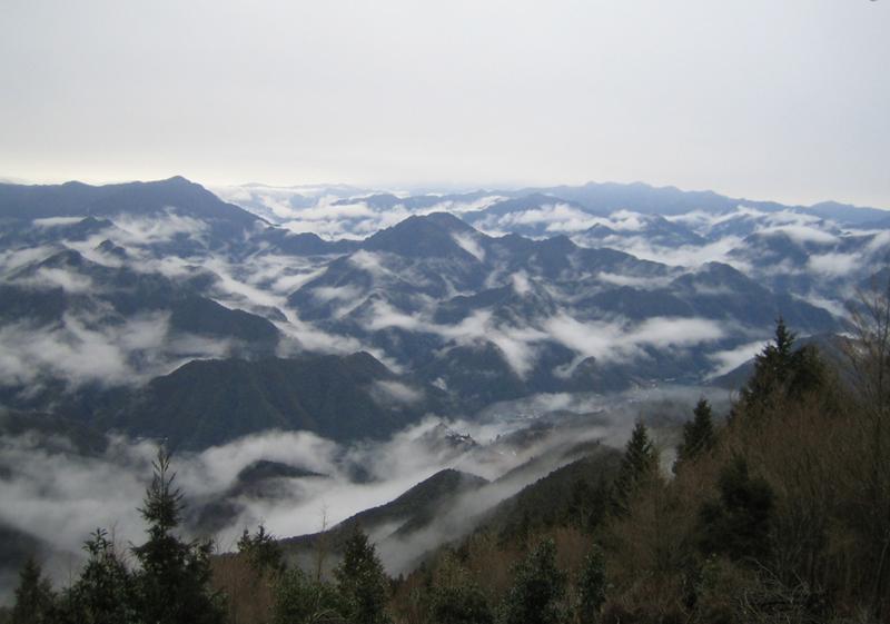 Niederschlagsreiche, ausgedehnte und nur dünn besiedelte Wälder prägen den ländlichen Raum im Landesinneren Japans