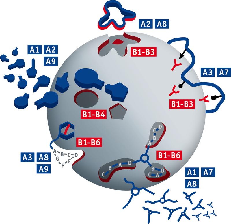 Statt sich in die passgenauen Spalten zu legen, docken die Greifwerkzeuge (blau) an der Oberfläche der Proteinkugel an. Bildnachweis: UDE