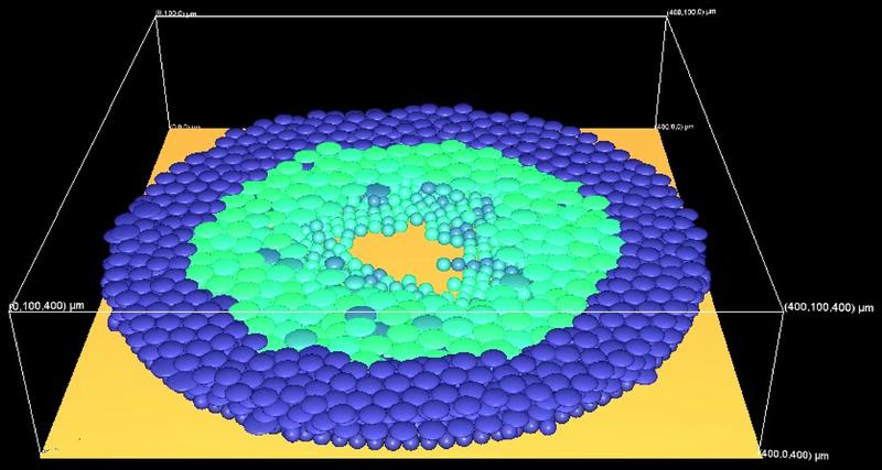 Computersimulation einer heilenden Hautwunde: Die nachrückenden Zellen sind hier türkis dargestellt.