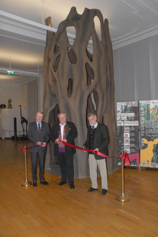 Dr. Uwe Schäkel. Dr. Frank Asbeck und Prof. Dr. Wolfgang Wägele (vlnr) weihen das Würgefeigenmodell ein.