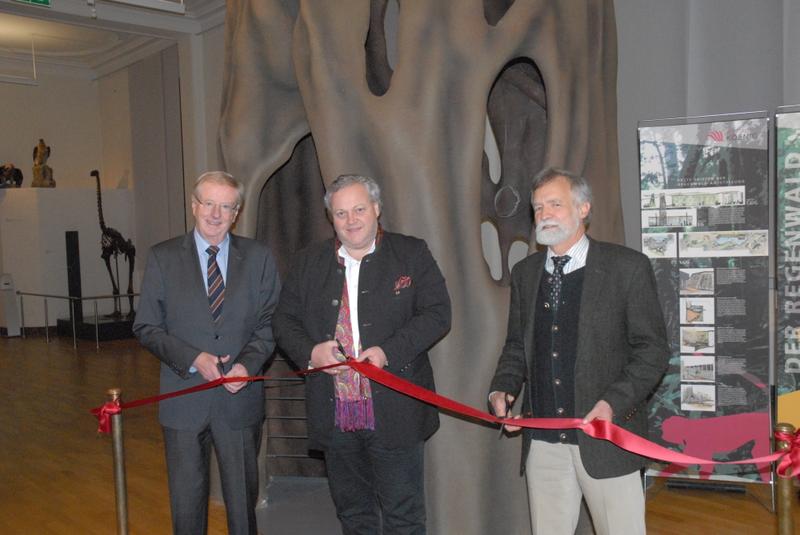  Dr. Uwe Schäkel. Dr. Frank Asbeck und Prof. Dr. Wolfgang Wägele (vlnr) vor dem oberen Teil des imposanten Würgefeigenmodells. 