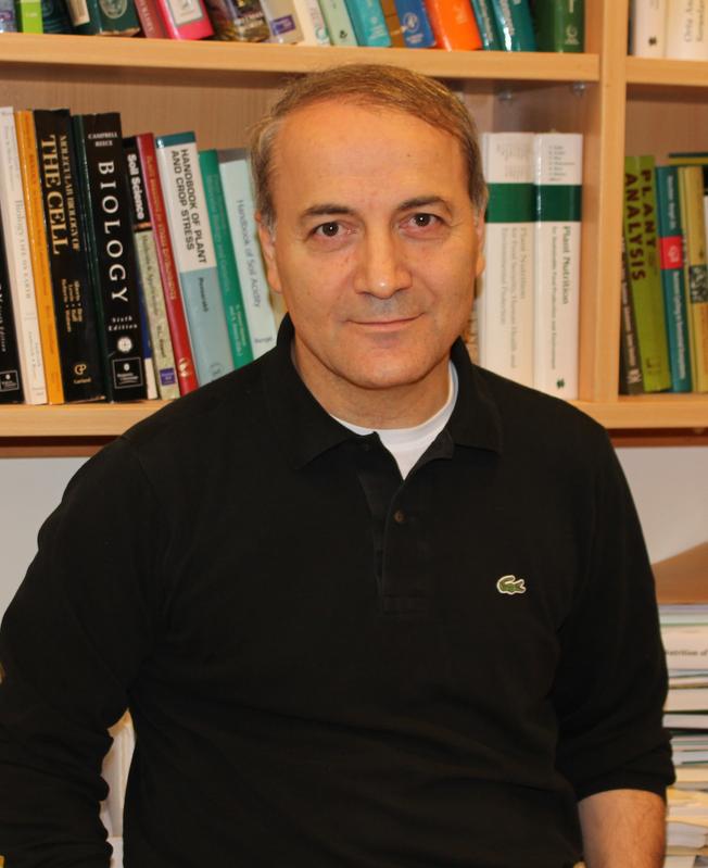 Prof. Dr. Ismail Cakmak